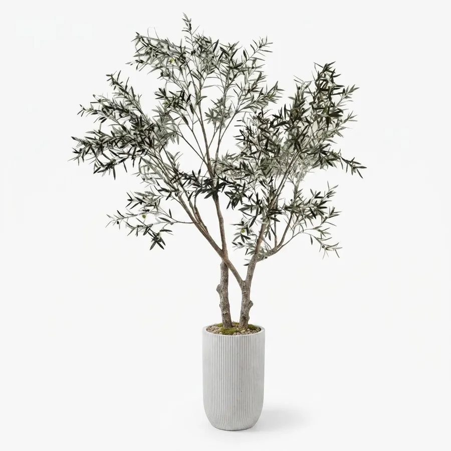 Potted tree